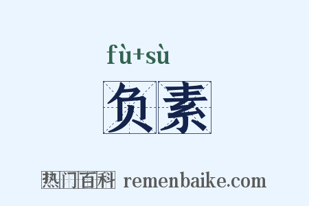 负素是什么意思的图片